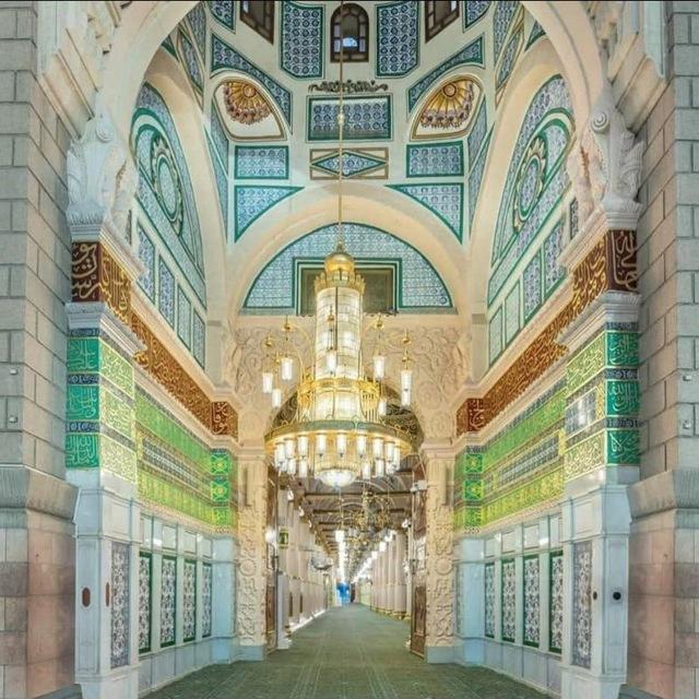 قناة || عمرو الحداد
