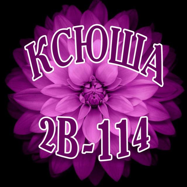 Ксюша Текстиль Б-2В-114