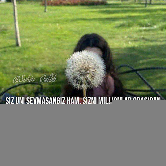 Qalbimizdagi_nolalar🌺🌺