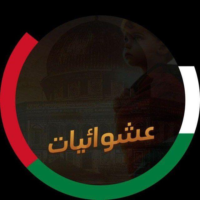 عشوائيات 𓂆