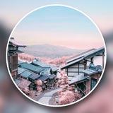 日本の写真