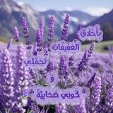 كُونِي صَحَابِيَّةً🤍🪻🕊