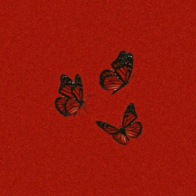 𝙳 𝚄 𝙻 ☘︎︎