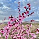 🍃ارتباطات فرهنگی و اجتماعی ایجان🍃