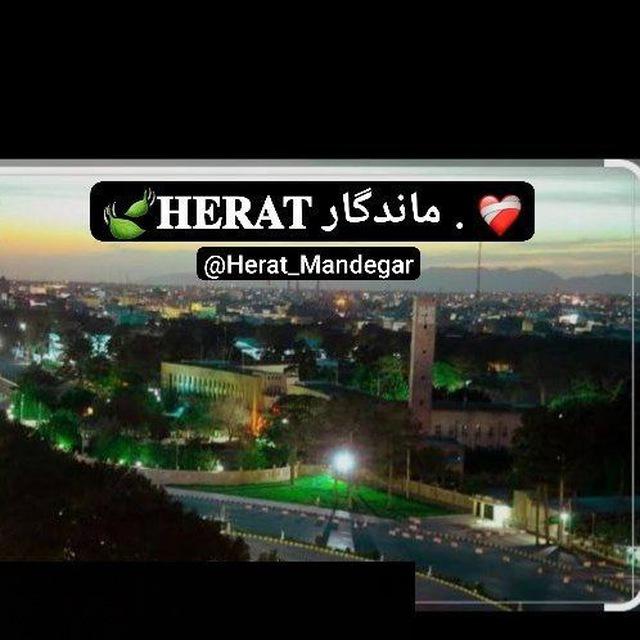 🍃𝐇𝐄𝐑𝐀𝐓 ماندگار . ❤️‍🩹
