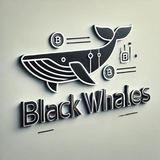Black Whales