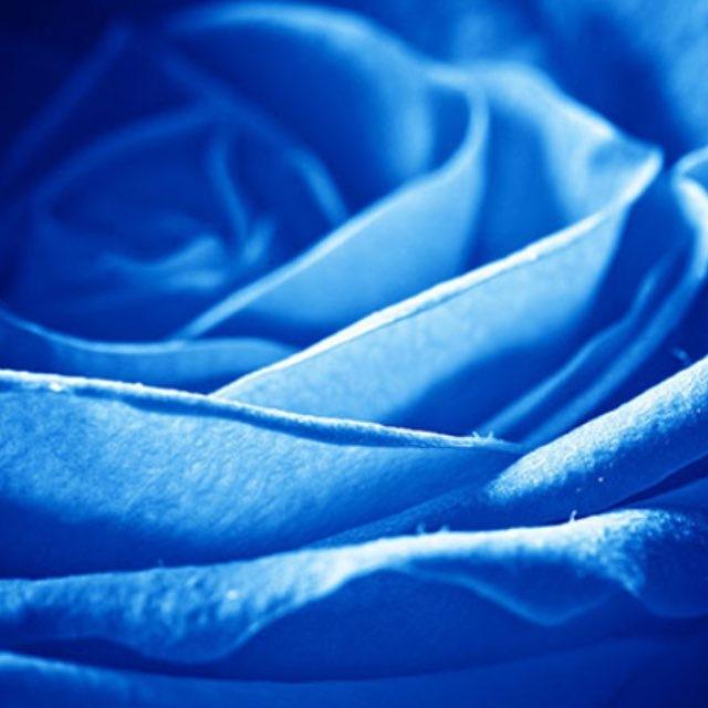 Blue channel 💙