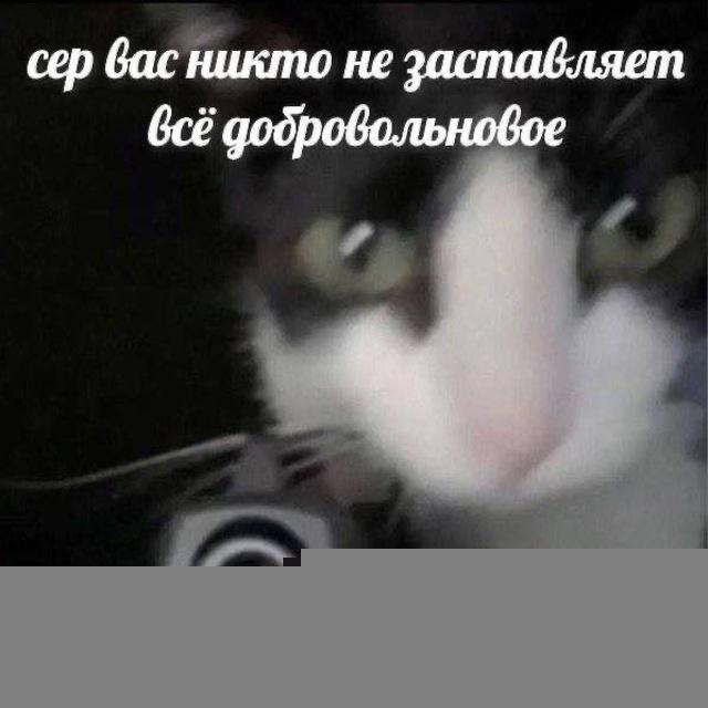 Рисёрч Лав