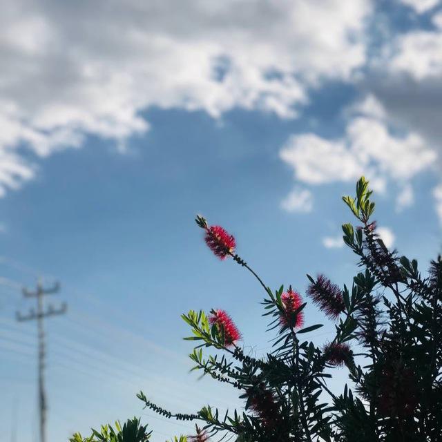 사ㅃ .