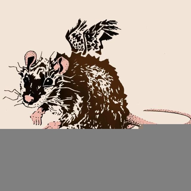 крысота🐀❤️