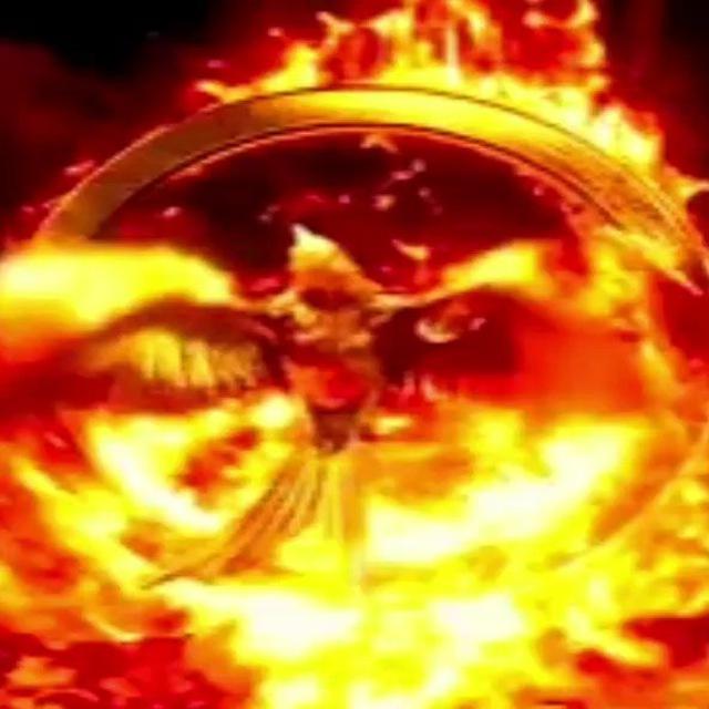 THIS IS NOT TARTARIA - TRUTH CHANNEL