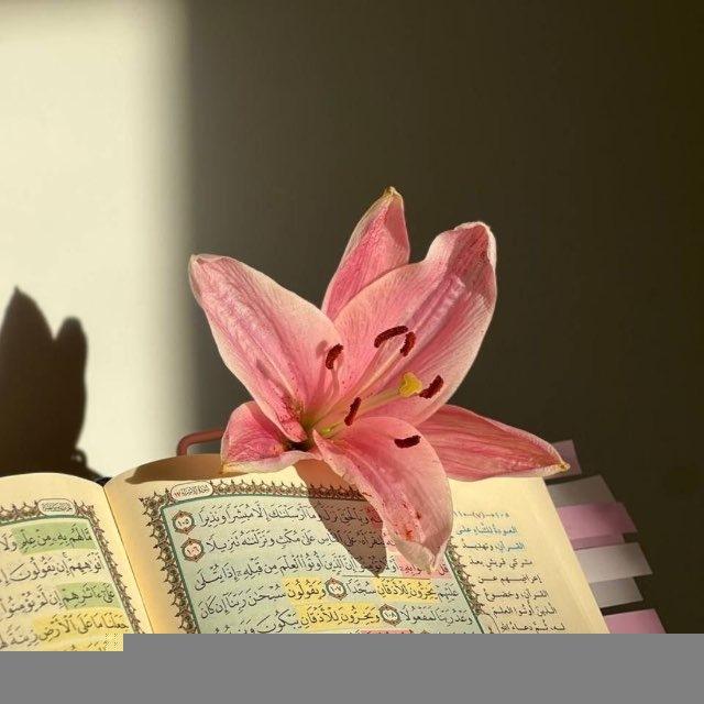 إنْشِراح