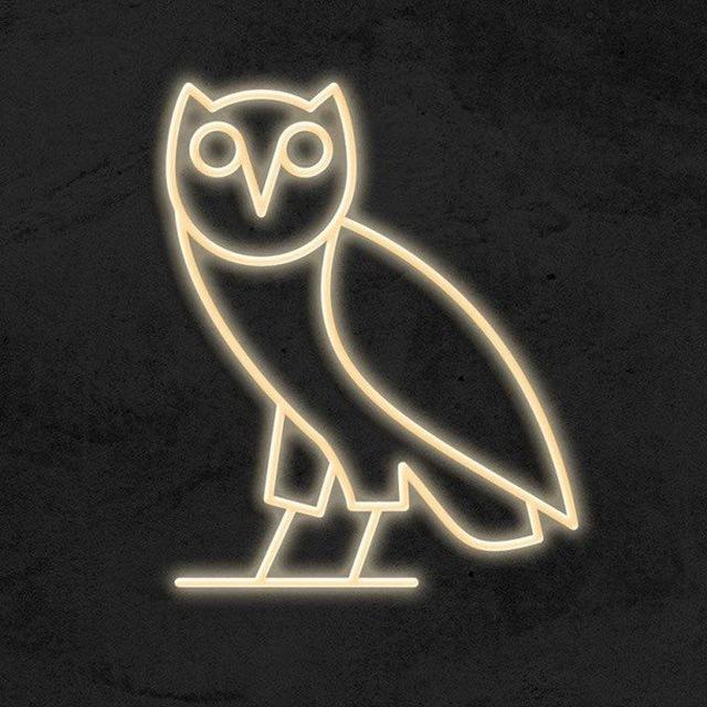 Alpha Owls 🦉