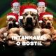 INTANKAVEL O BOSTIL