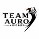 Team Auro <\>