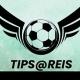 Tipsreis