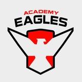 Академия Eagles