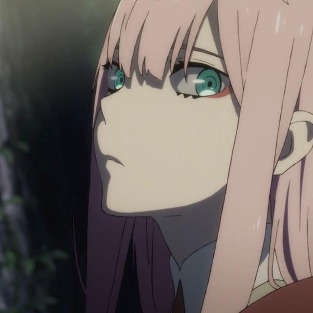 鹤望兰
