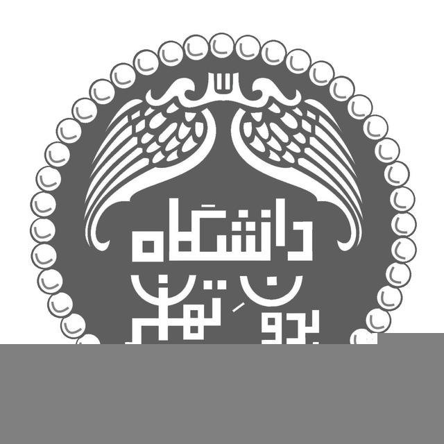 دانشگاه بدون تهران