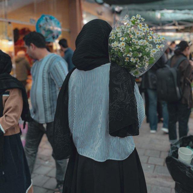 بابونه.
