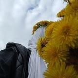 لِــ ســـ𝒮𝒜ℛ𝒜ــارة 💛'