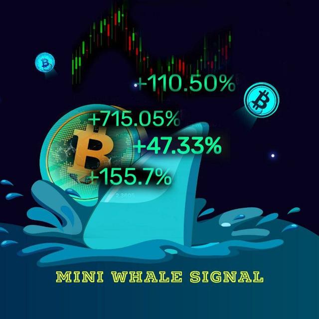 🐋Mini Whales🐳
