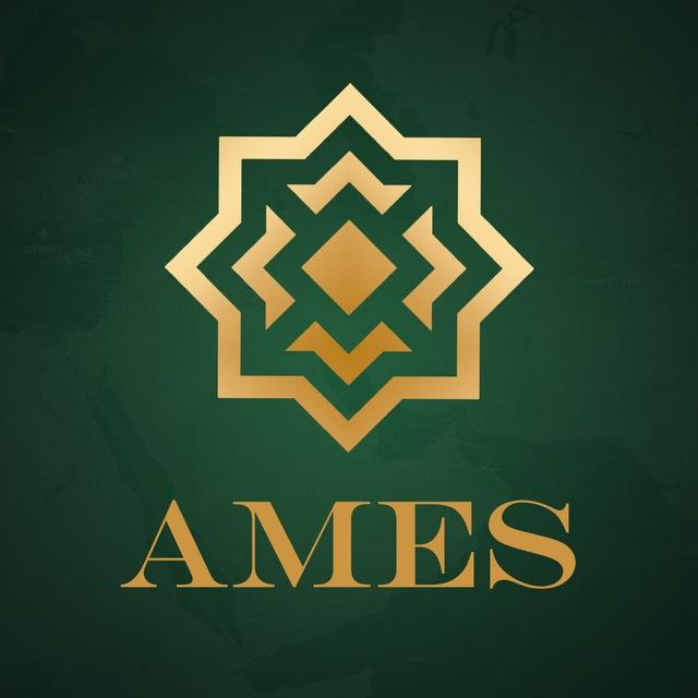 Це AMES: коментарі, оцінки, погляди
