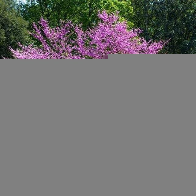 کار برای زندگی | الهام مراد
