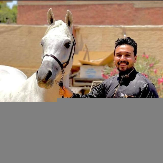talal . el harmen