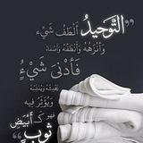أبو معاوية الكردي _ نقد سلفي