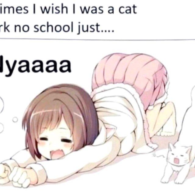 наночка