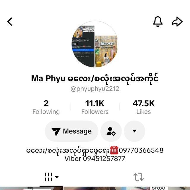 Ma Phyu စလုံး/မလေးအလုပ်အကိုင်