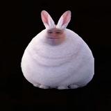 Ladnolad