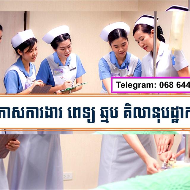 ការងារវិស័យពេទ្យសុទ្ធ-Nurse Career