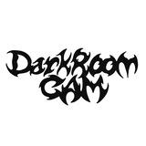 DarkRoom Cam