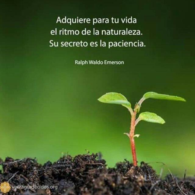 Somos Bio, somos Naturaleza🍀
