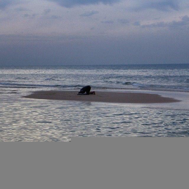 закаты пустыنи
