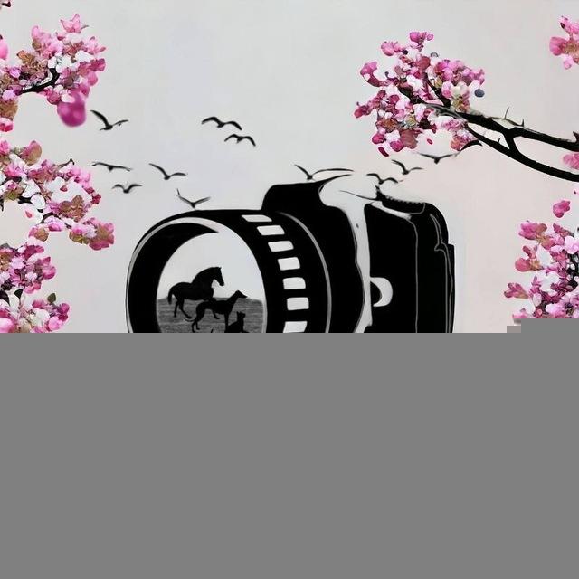 animals in photos