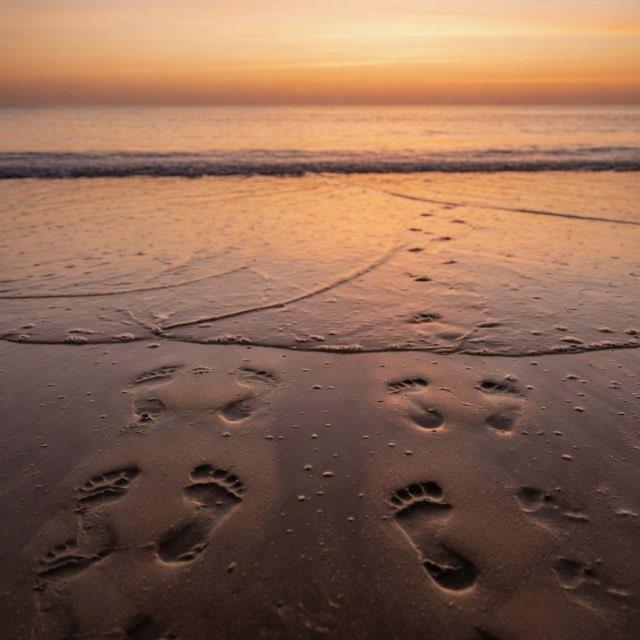 👣SACRED PATHS👣