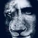 LION Media