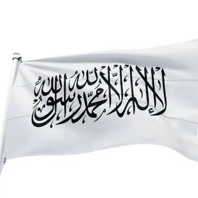 ইসলামি বিশ্বের সংবাদ