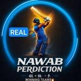 Nawab prediction 🏏 Tata IPL prime team mallik Mumbai malik TEAMS4WIN FANTASY