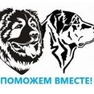 Поможем вместе 39