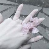 𝑠𝑠𝑒𝑎.𝑐𝑜𝑚