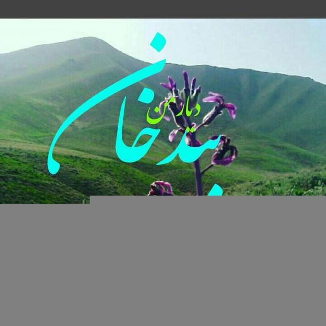 دیارمن بیدخان