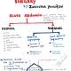 Medical Notes By Dr Zakirullah Yousufzai