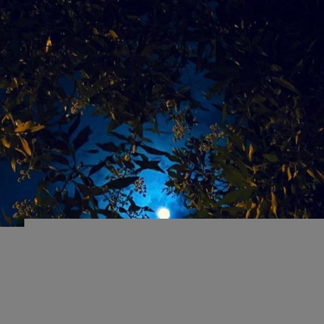 "إليهِ المُشتكَى والمفزَعُ"