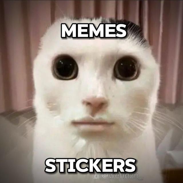 Мемные стики и гифки