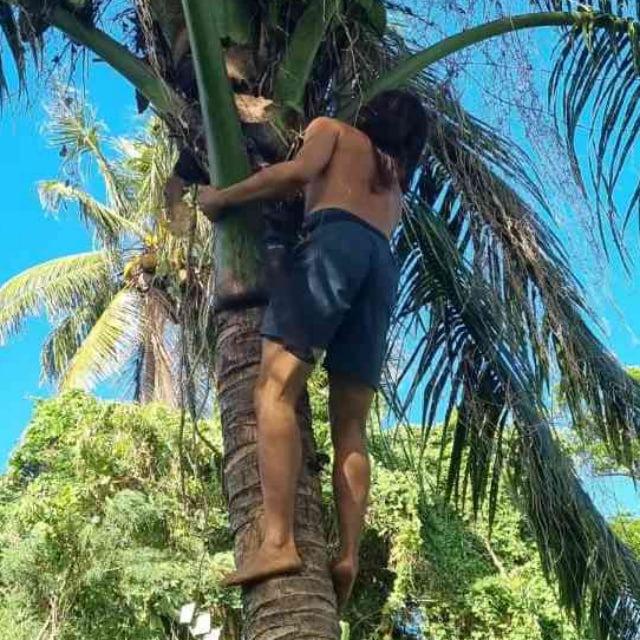 COREAN TARZAN