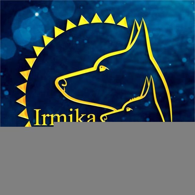 Щенки Ксоло/ Ксолоитцкуинтли/Мексиканская Голая Собака❤️Ирмика Стайл